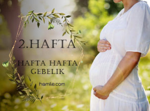 2. Hafta Hamilelik