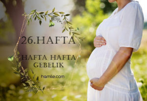 26. Hafta Hamilelik